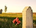 Is Death the End?