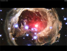 Introducing the Biocentric Universe