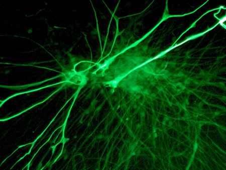The Secret of the World: Experiments Suggest We're the Key to the Universe