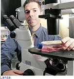 Photo of Dr. Robert Lanza at the microscope