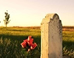 Photo of a Countryside Cemetery